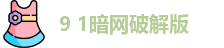 9 1暗网破解版